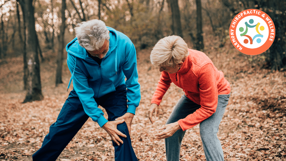 Two older people are squatting in the woods